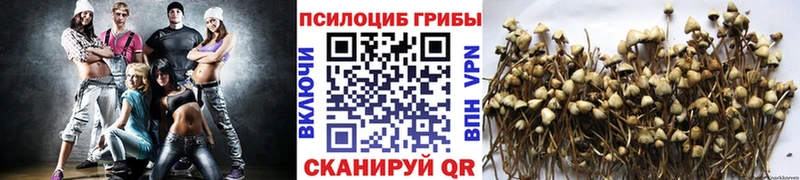 даркнет сайт Бирюсинск Псилоцибиновые грибы Magic Shrooms